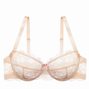 Sweetest Sin Demi Bra