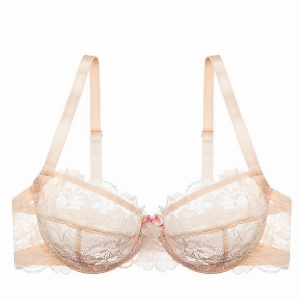 Sweetest Sin Demi Bra